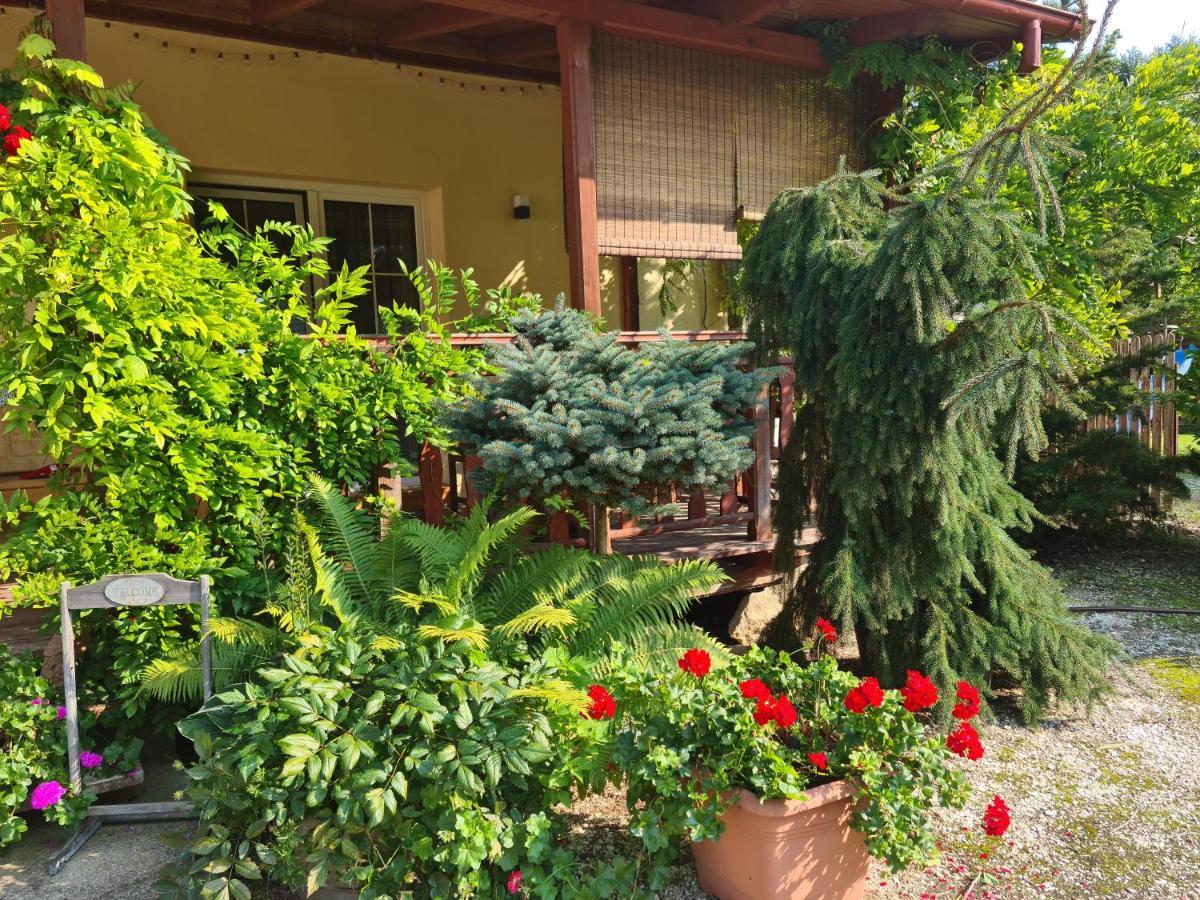 Apartament Malinowa Dolina Kłodzko Dış mekan fotoğraf