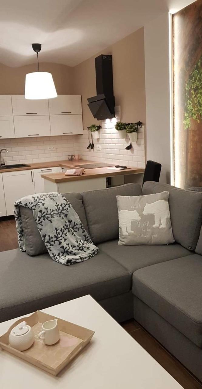 Apartament Malinowa Dolina Kłodzko Dış mekan fotoğraf