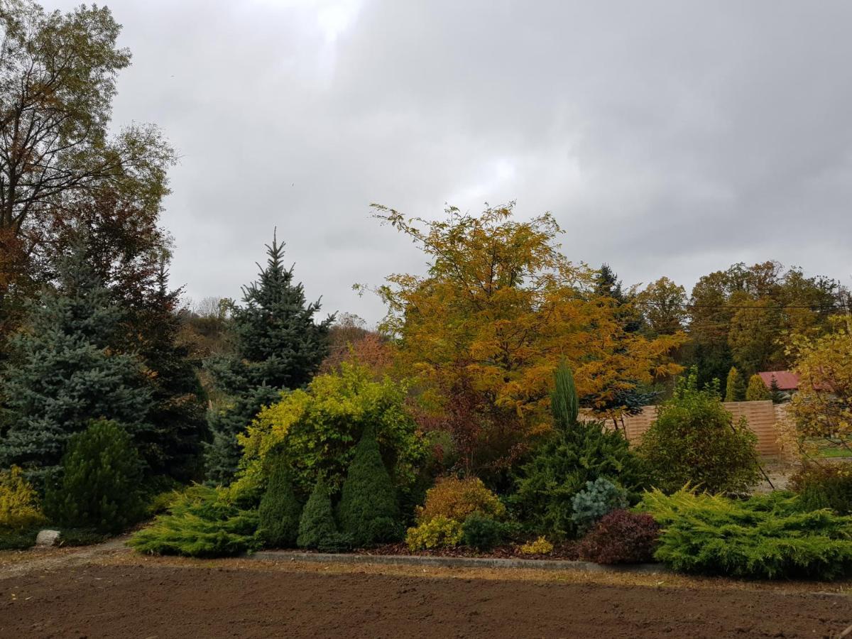 Apartament Malinowa Dolina Kłodzko Dış mekan fotoğraf