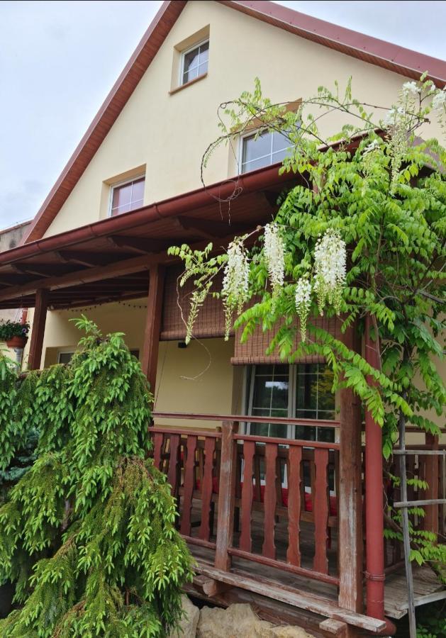 Apartament Malinowa Dolina Kłodzko Dış mekan fotoğraf
